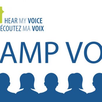 Reflections on Camp Vox: The art and science of political campaigning